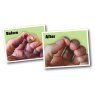 85g Tube Gorilla Glue - O'Keeffe's Working Hands Hand Cream