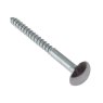 ForgeFix - Mirror Screws, Chrome Domed Top, ZP