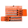 Bahco - 250mm (10in) ERGO Engineering File Set, 5 Piece