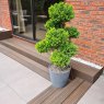 Ecoscape Ecoscape Forma - Havana Decking Board